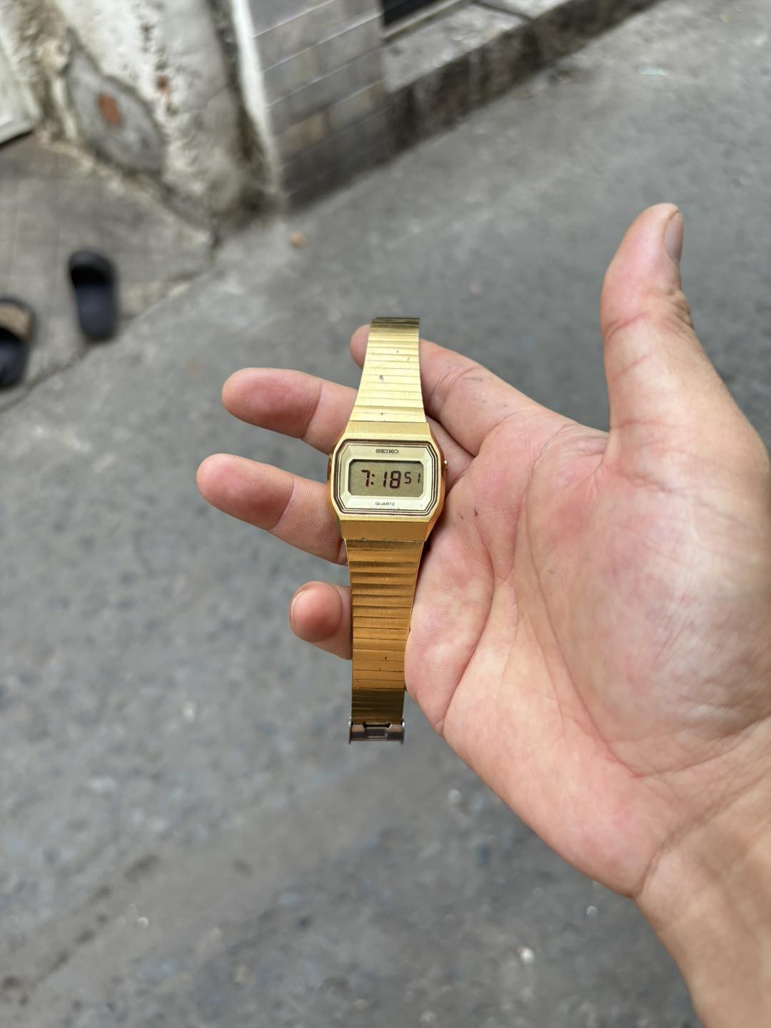 494196842_1275042357957308_1299766445352129326_n