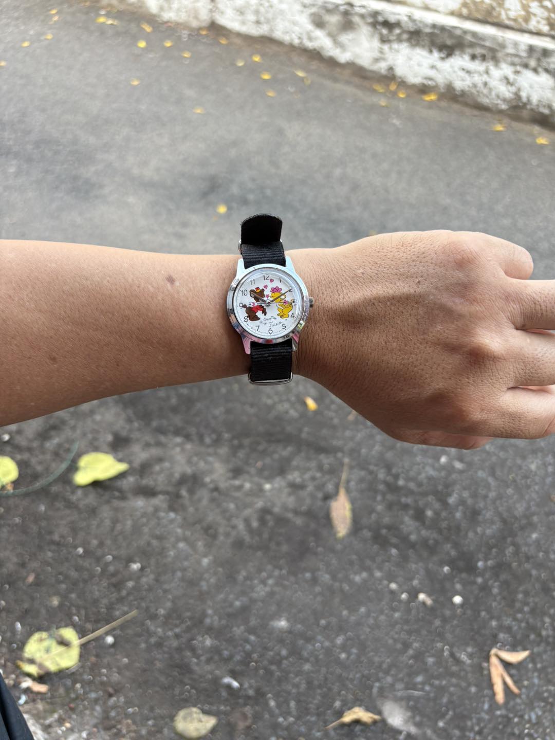 Vintage Seiko Alba Disney Time Bongo and Lulubelle Manual