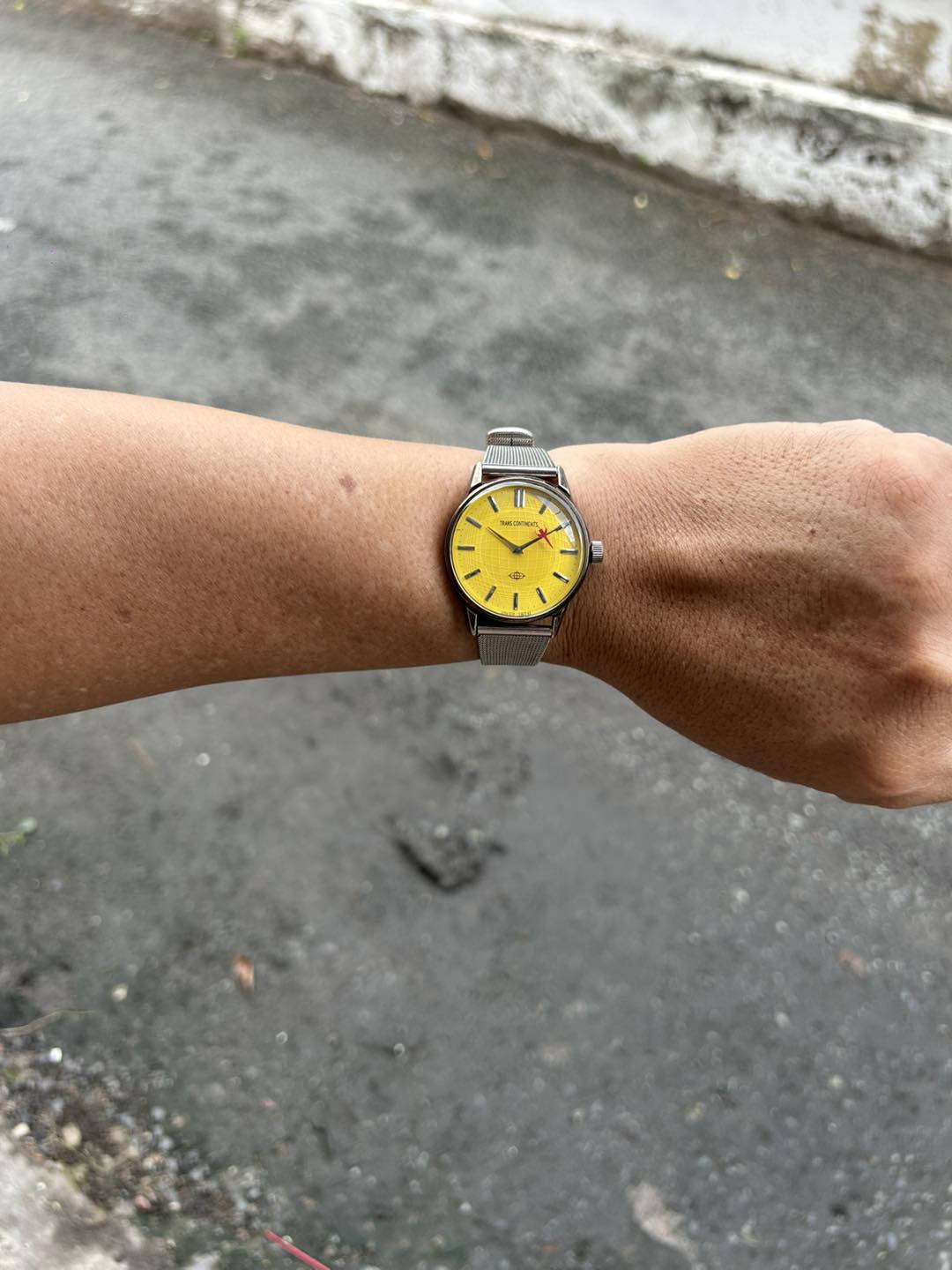 Citizen- Trans Continents quartz watch 5537-L15219 Y/ case no